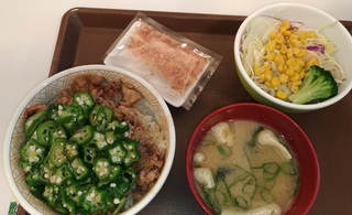 sukiya_lunch_0512_.jpg