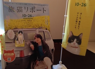 tabineko_report_movies.jpg